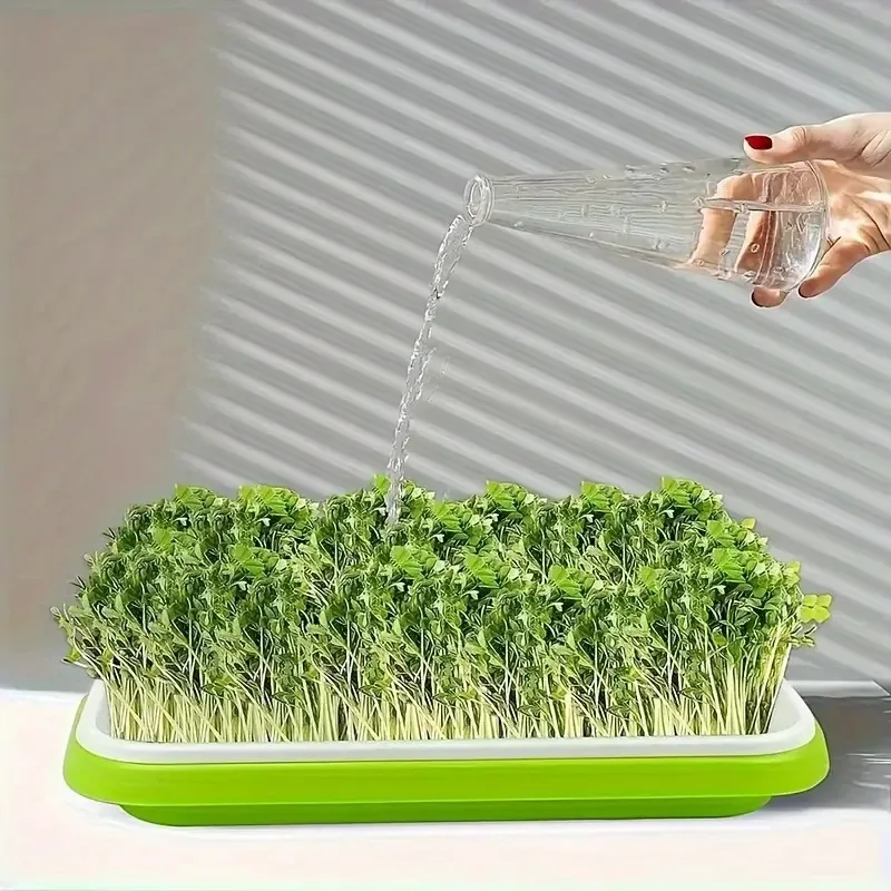 Gardening Tools Vegetables - Latest Models Seedling Tray Suit, Soilless