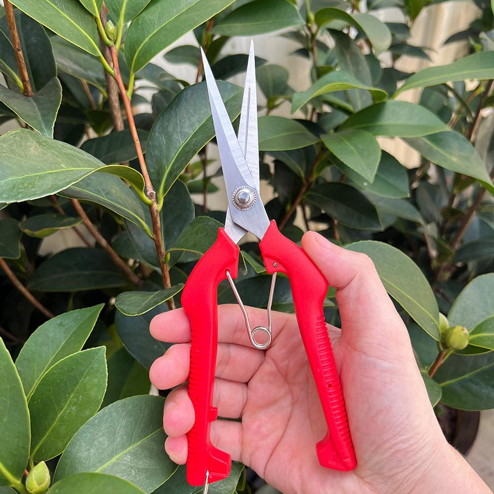 Gardening Tools Vegetables - Pro Garden Pruning Shears Lengthened Tree