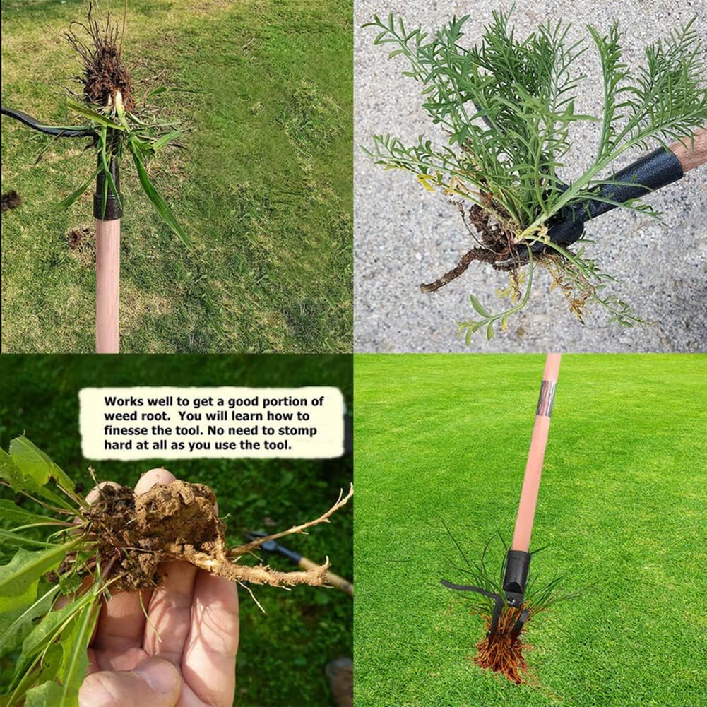 Stand Up Weed Puller Tool Deta - Weed Puller recension och pris