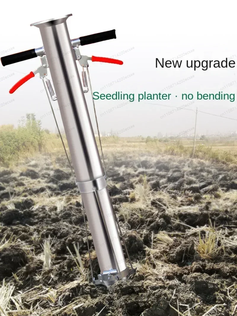Seedling Transplanter Vegetabl - Gardening Tools Vegetables recension och pris