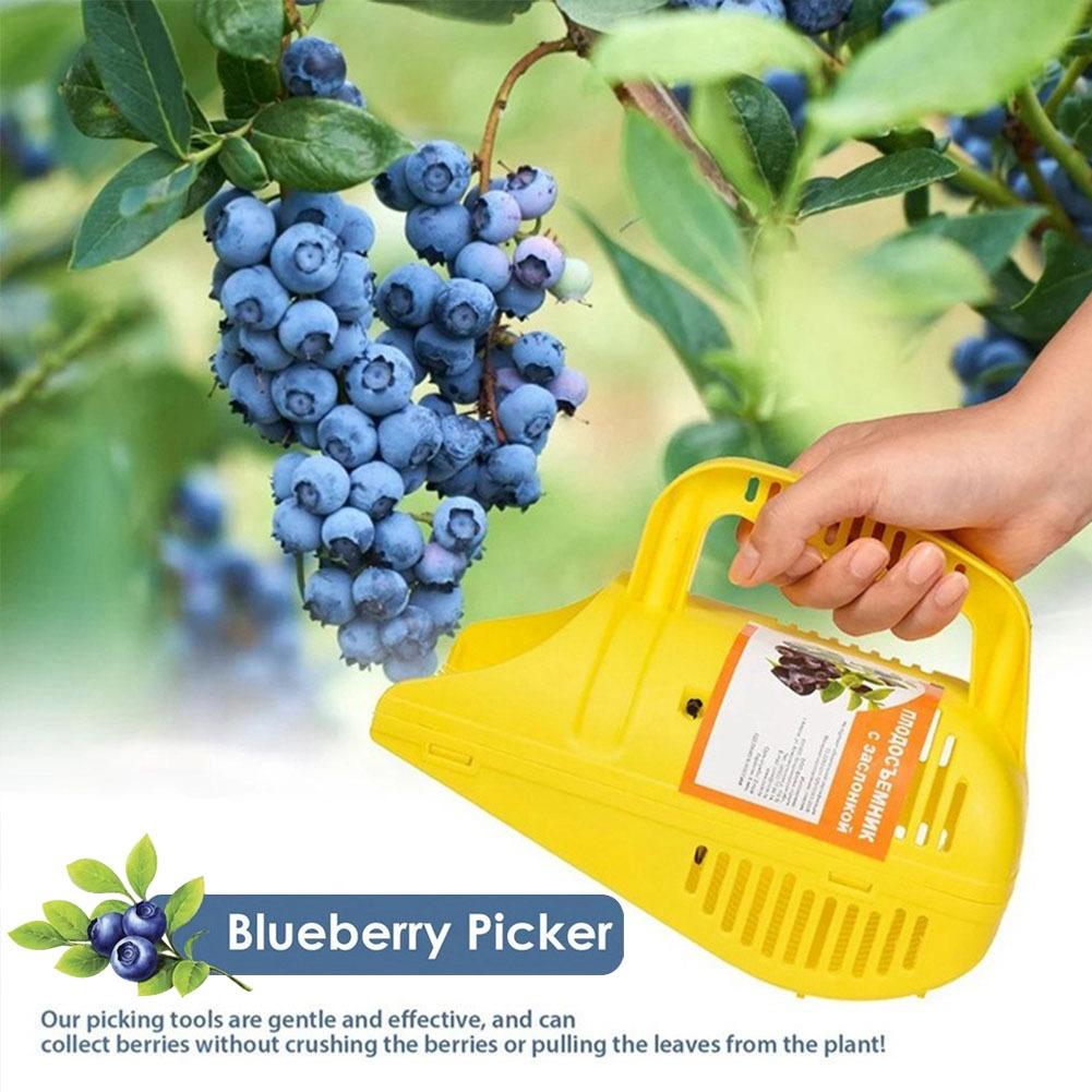 Blueberry Picker Rake | Effici - Gardening Tools Rake recension och pris