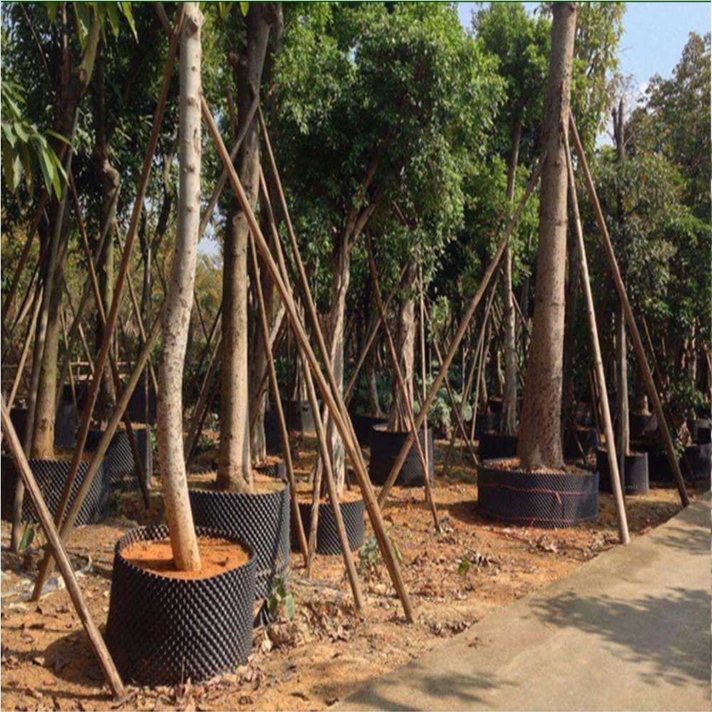 Grow Container Garden Tree Bon - Gardening Tools recension och pris