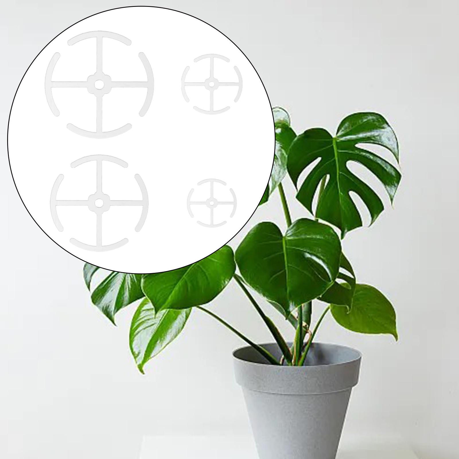 Plastic Plant Stem Holders Mul - Gardening Tools Holder recension och pris