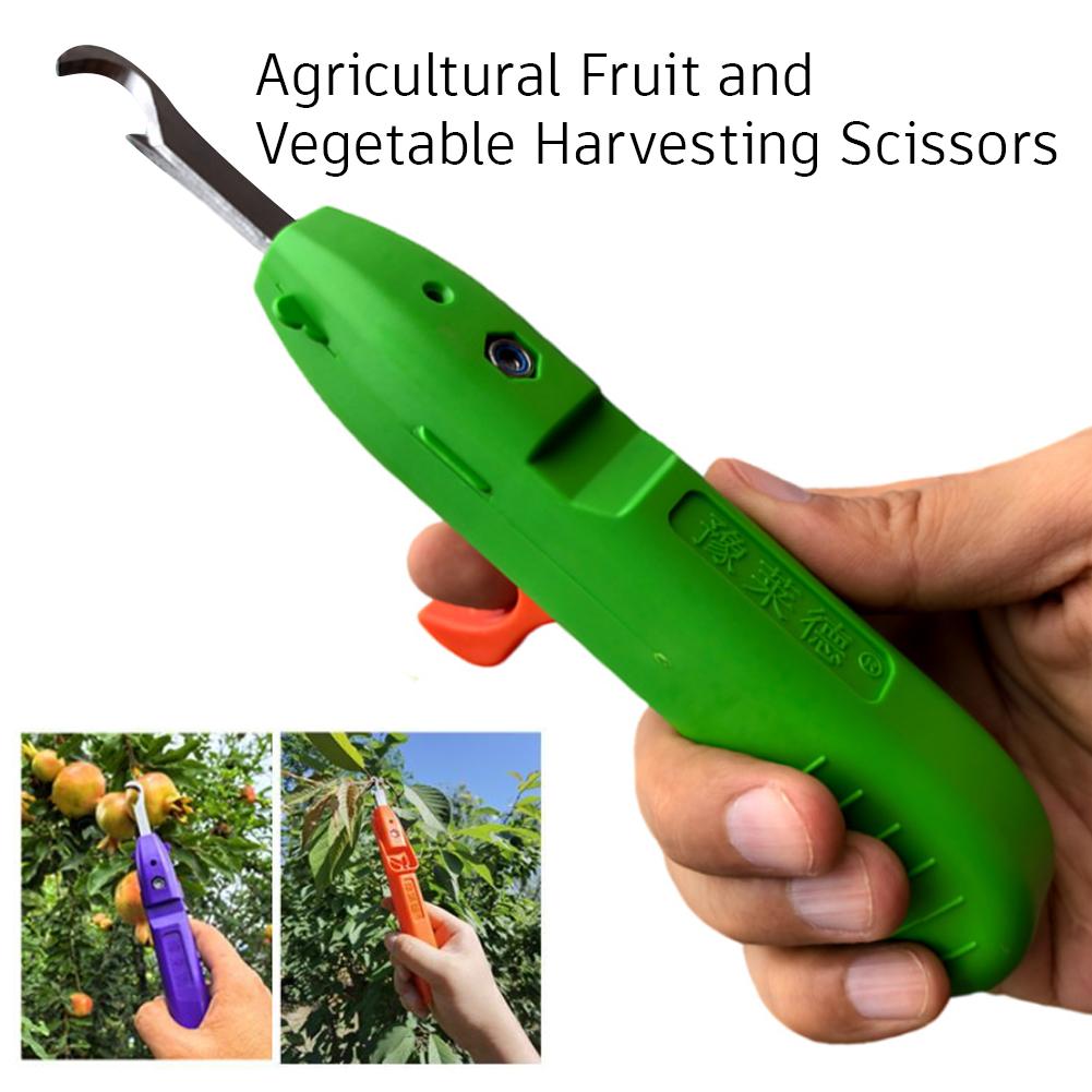 Portable Fruit Vegetable Quick - Gardening Tools Vegetables recension och pris