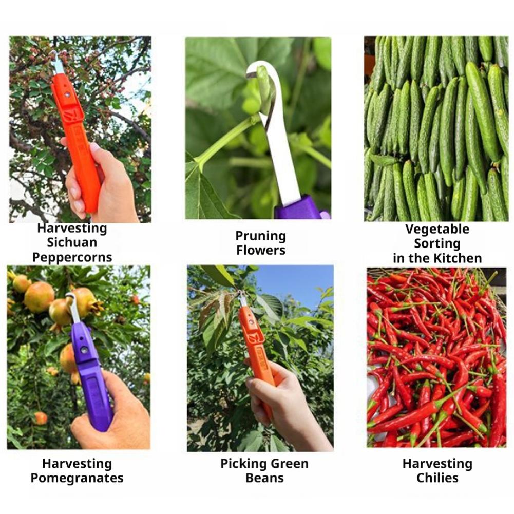 Portable Fruit Vegetable Quick - Gardening Tools Vegetables recension och pris