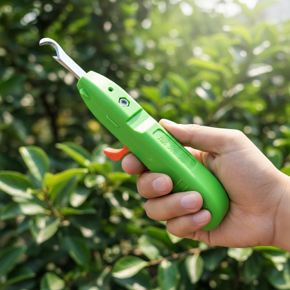 Fruit Vegetable Quick Picking  - Gardening Tools Vegetables recension och pris