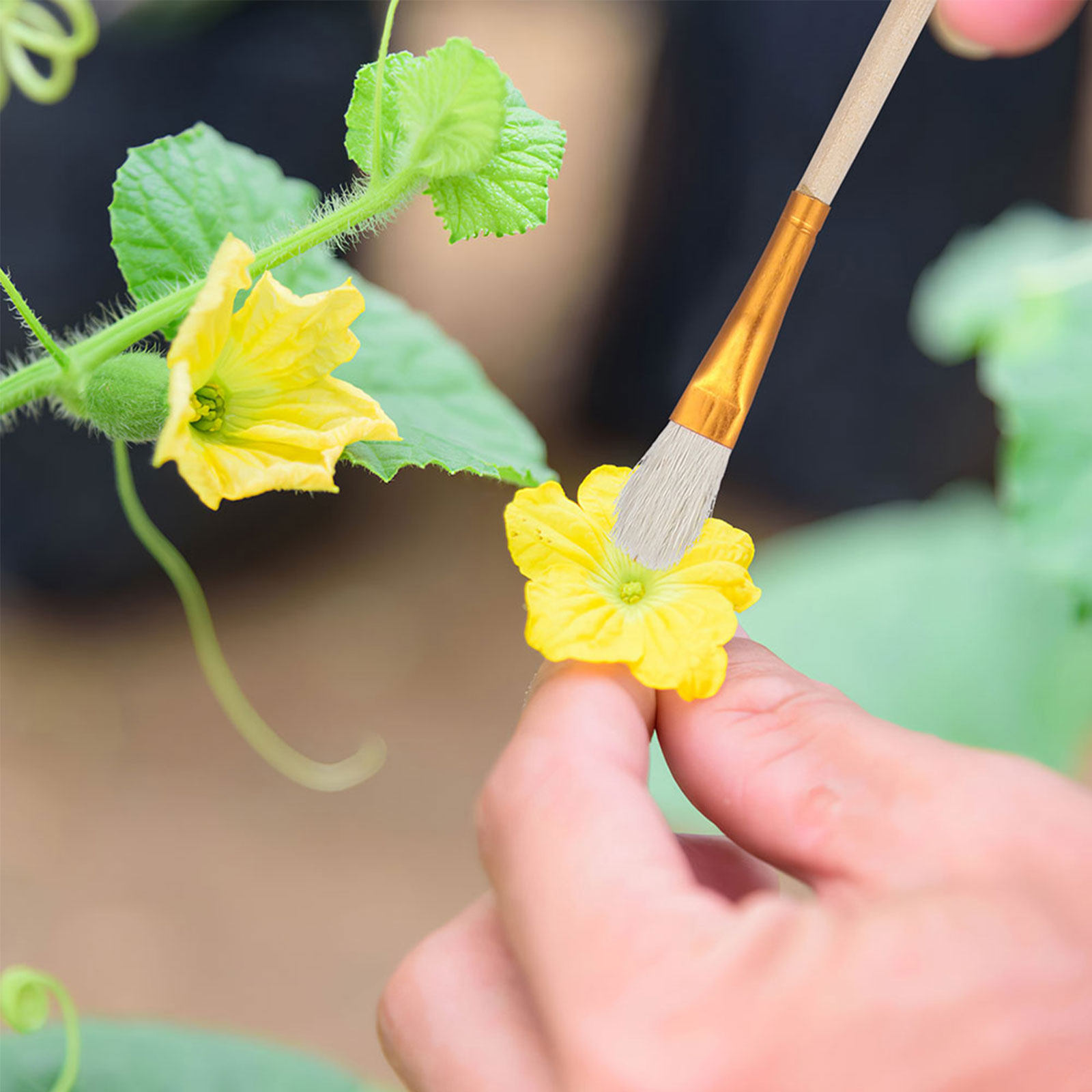 16Pcs Flower Pollinator Brush  - Gardening Tools Vegetables recension och pris