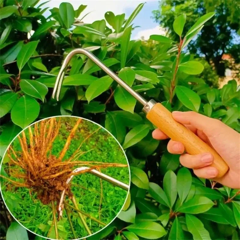 Stainless Steel Gardening Weed - Weed Puller recension och pris