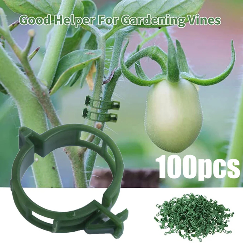 100 PCS/ Plant Support Clip Pl - Gardening Tools Usa recension och pris