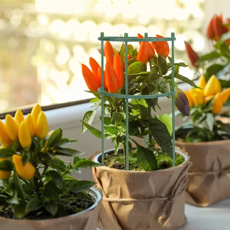 Plastic Plant Support Pile Sta - Gardening Tools Holder recension och pris