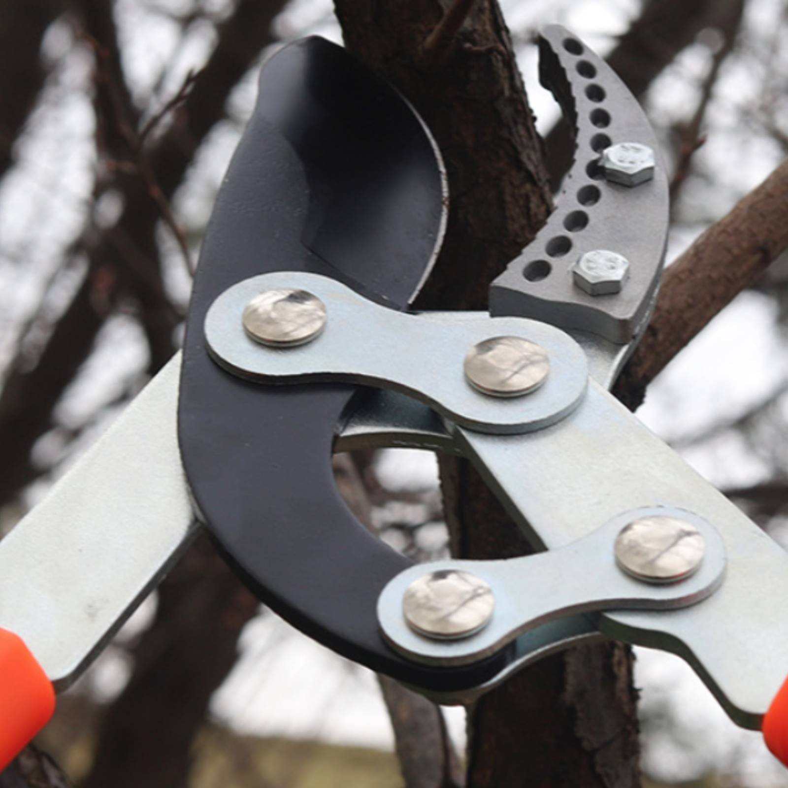 Telescopic Branch Pruners Shar - Gardening Tools recension och pris