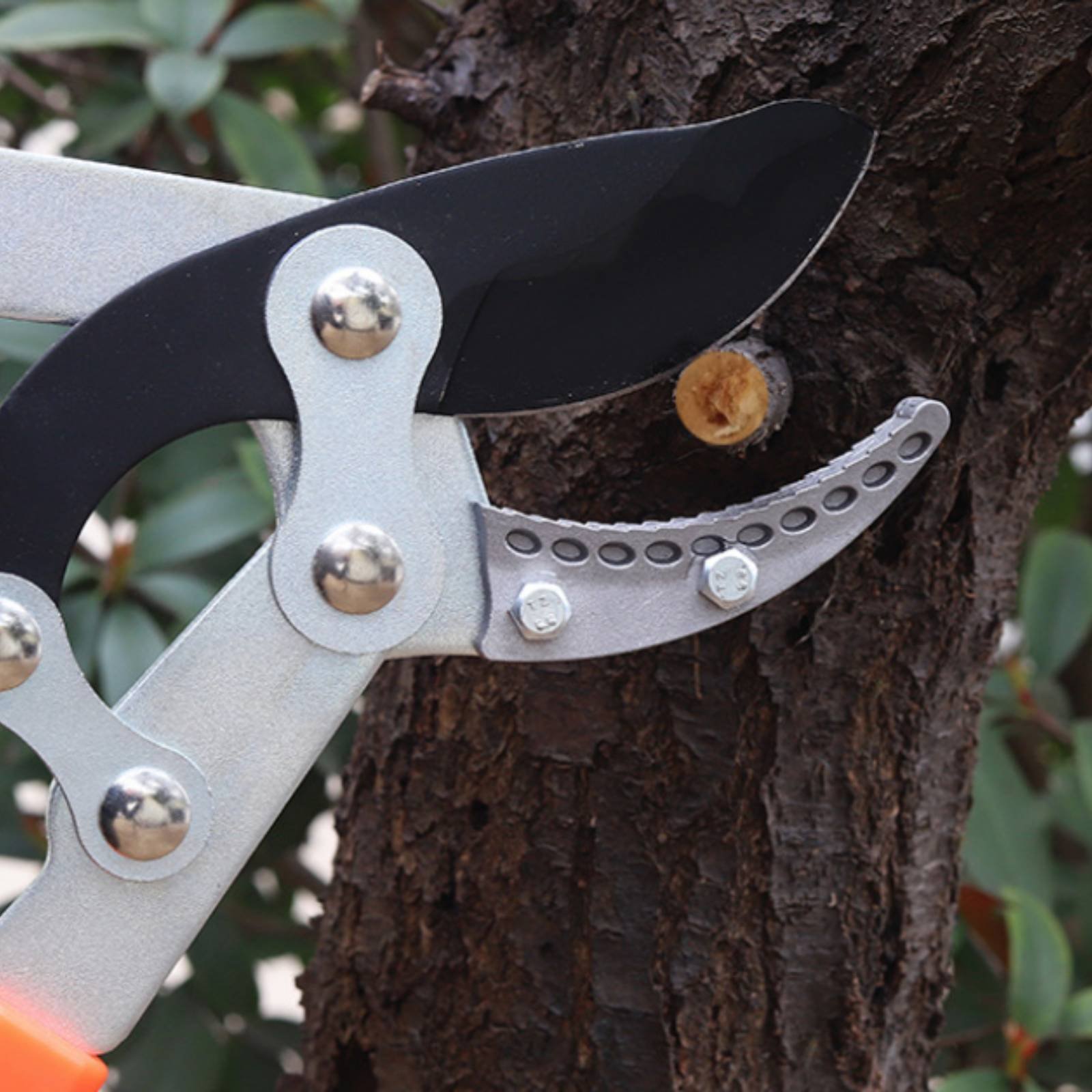 Telescopic Branch Pruners Shar - Gardening Tools recension och pris