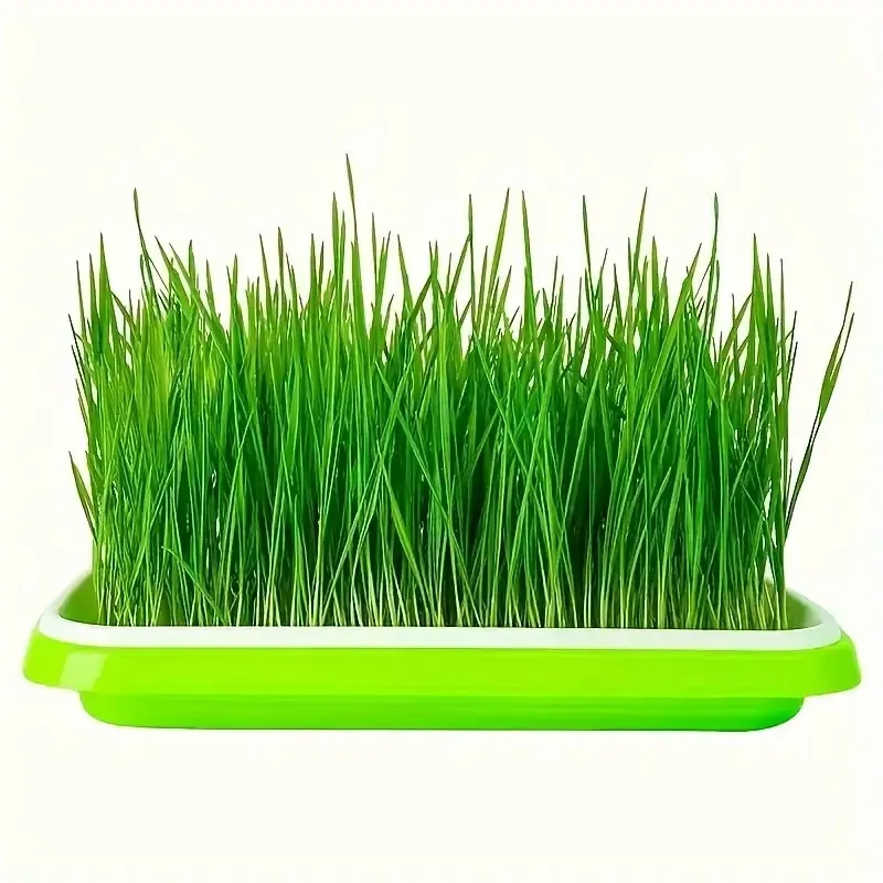 Latest Models Seedling Tray Su - Gardening Tools Vegetables recension och pris