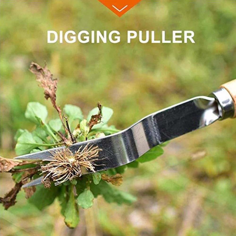 1pcs Wood Handle Stainless Ste - Weed Puller recension och pris