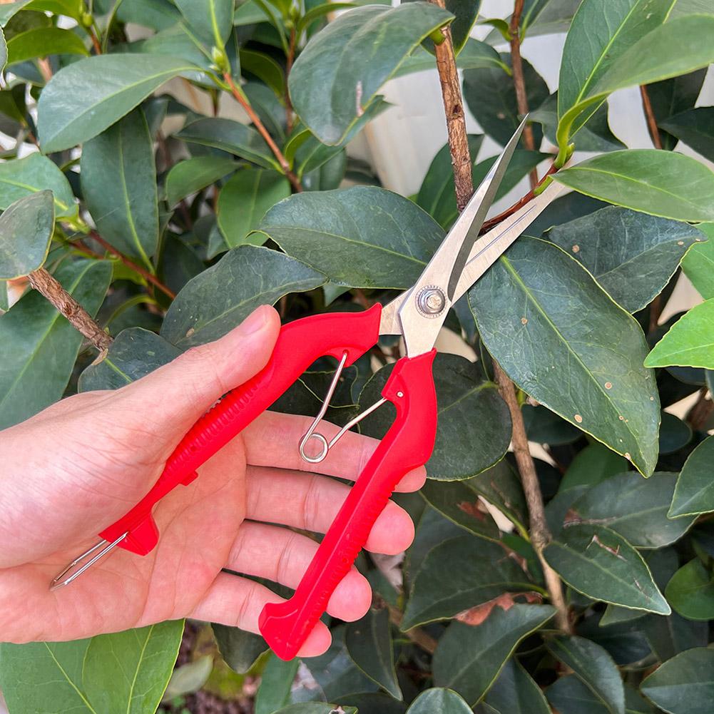 Pro Garden Pruning Shears Leng - Gardening Tools Vegetables recension och pris