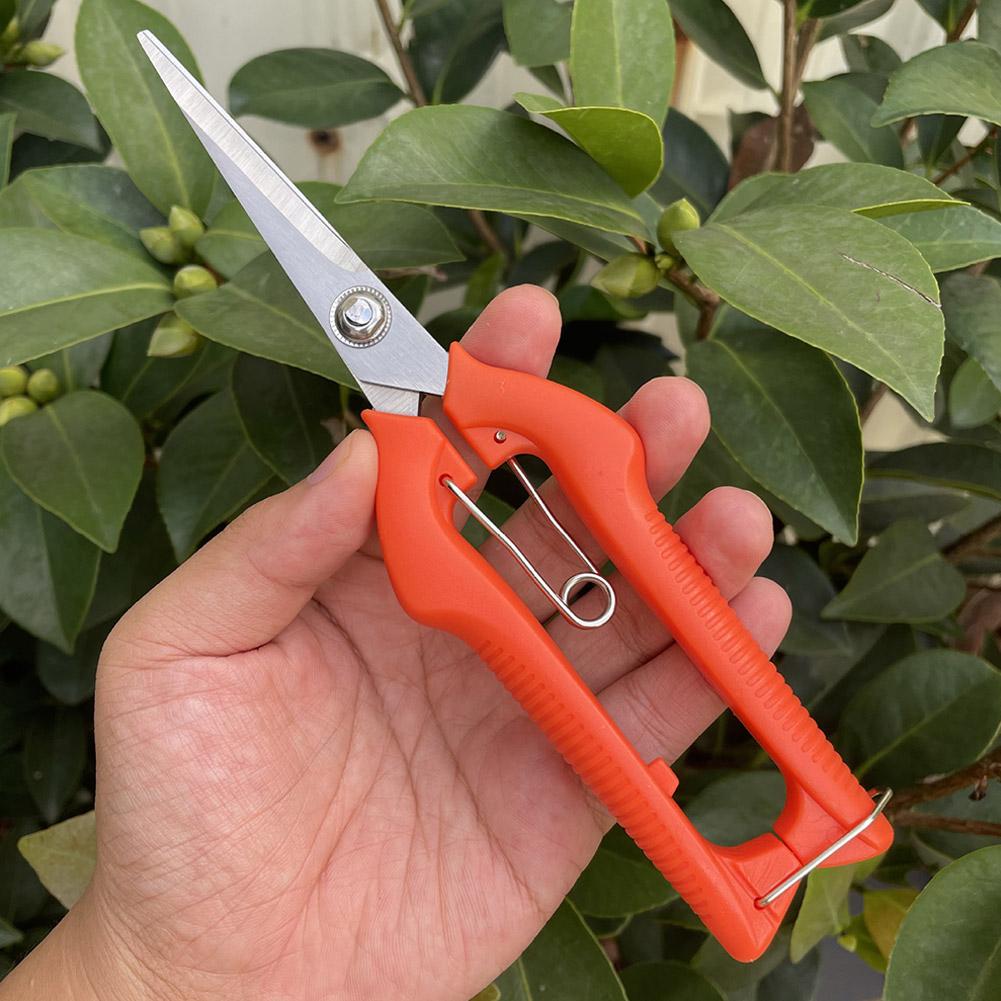 Pro Garden Pruning Shears Leng - Gardening Tools Vegetables recension och pris