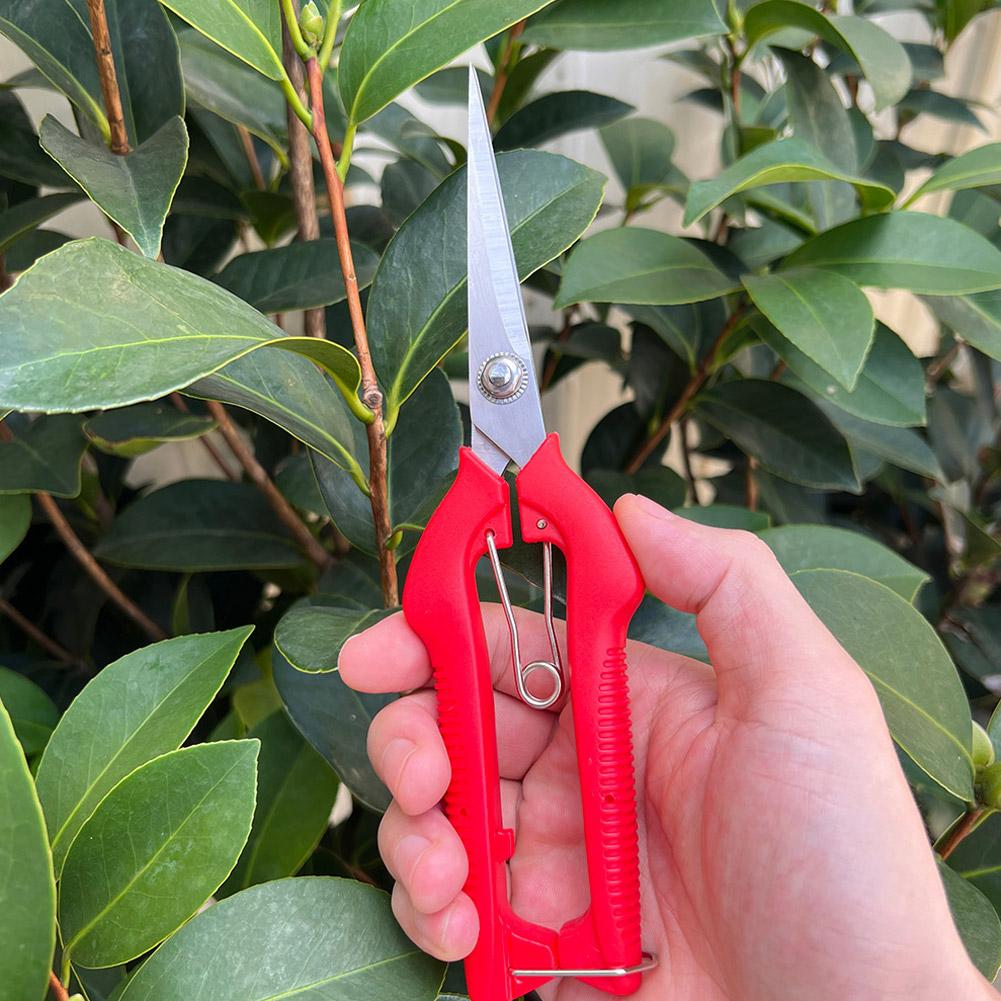 Pro Garden Pruning Shears Leng - Gardening Tools Vegetables recension och pris