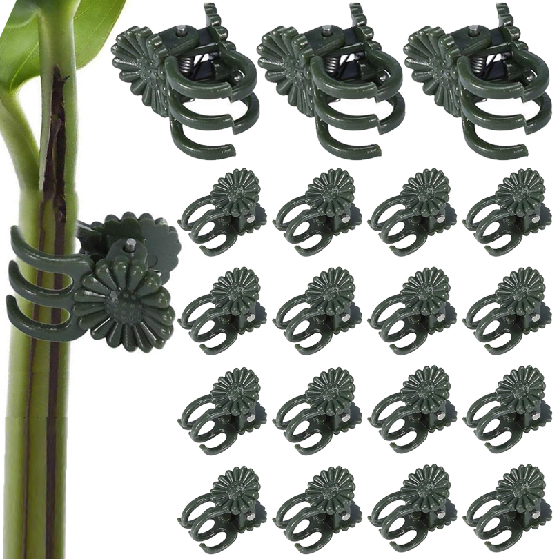 20/50/100PCS Plant Clips Vine  - Gardening Tools Usa recension och pris