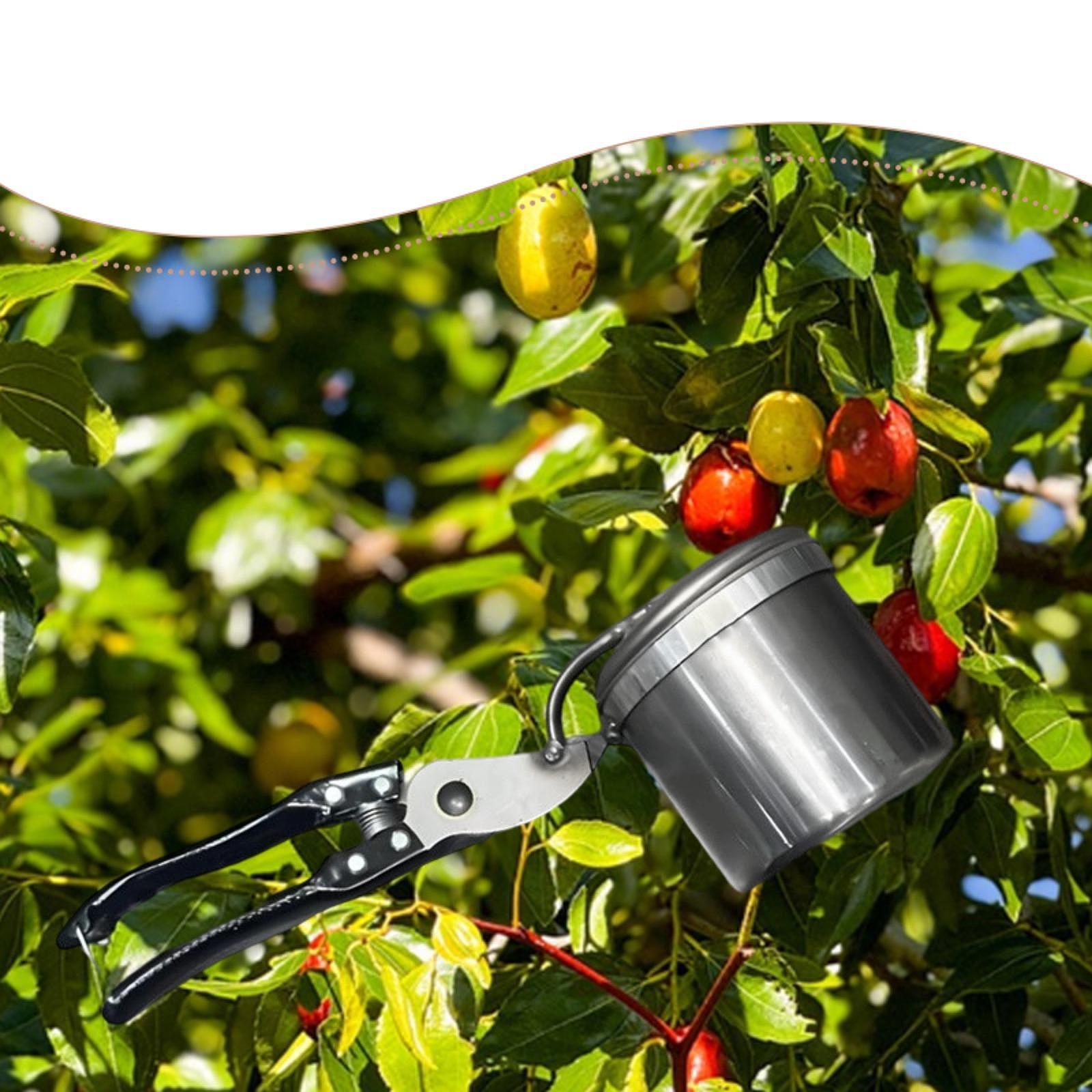 Fruit Picker, Easy to Use Port - Gardening Tools Vegetables recension och pris