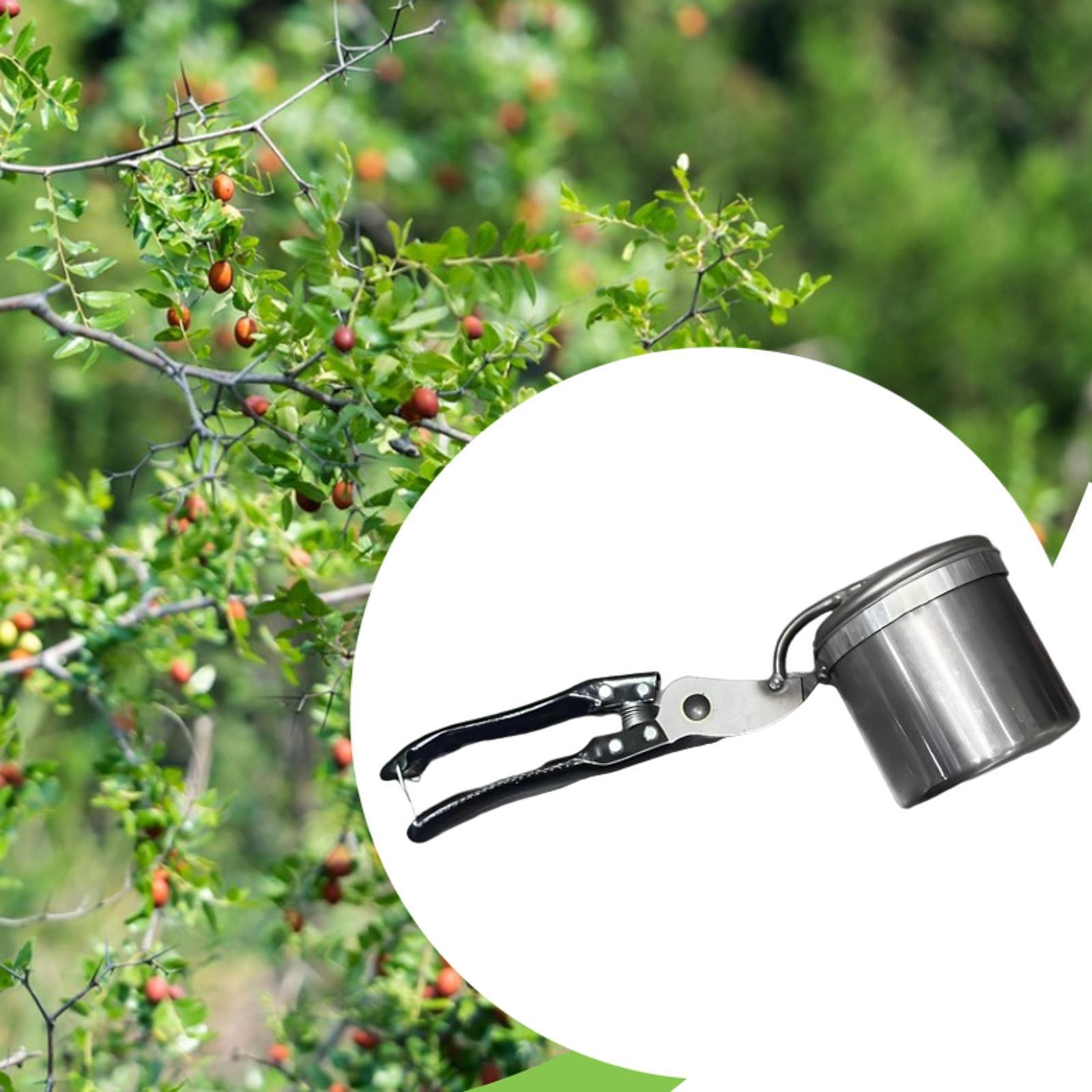 Fruit Picker, Easy to Use Port - Gardening Tools Vegetables recension och pris