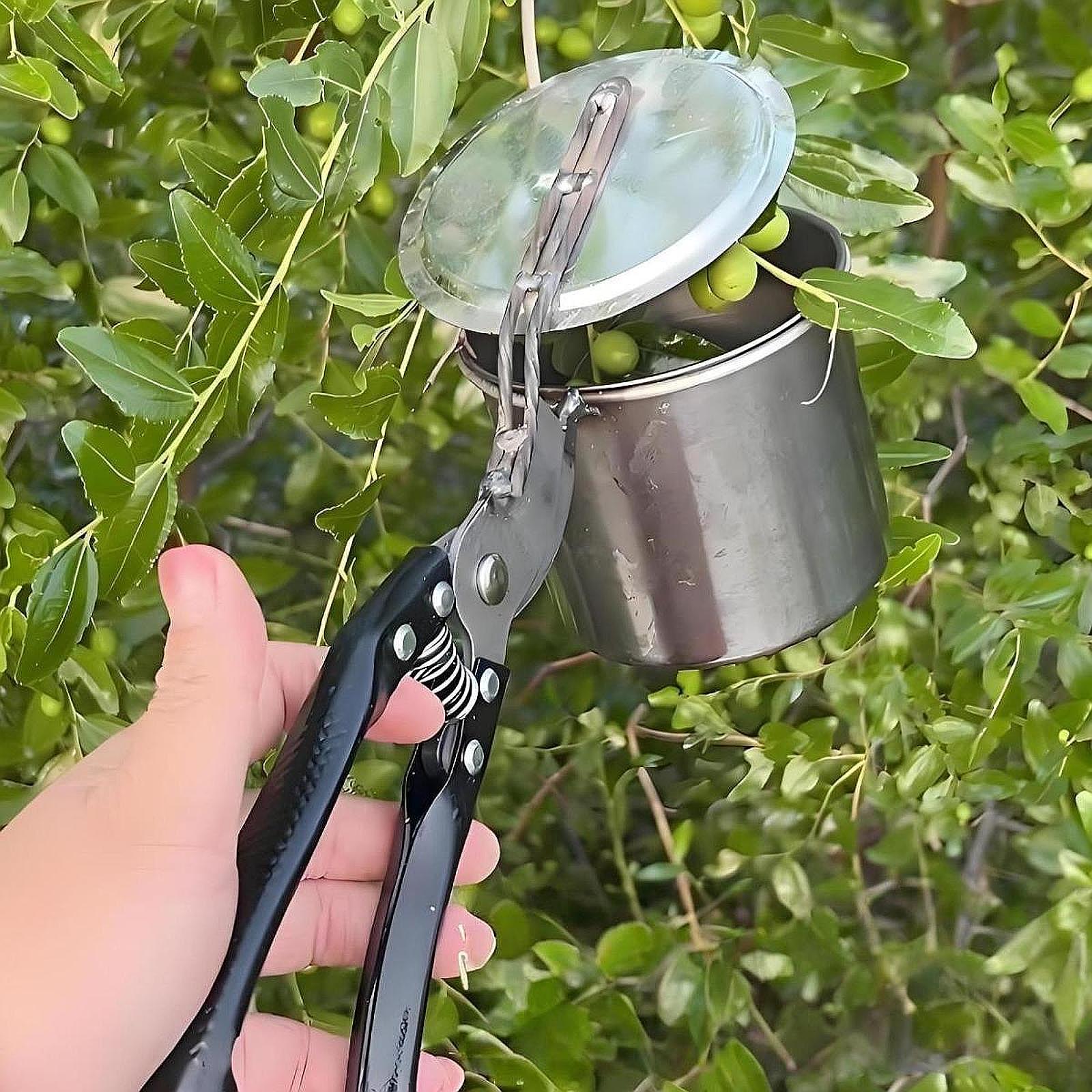 Fruit Picker, Easy to Use Port - Gardening Tools Vegetables recension och pris